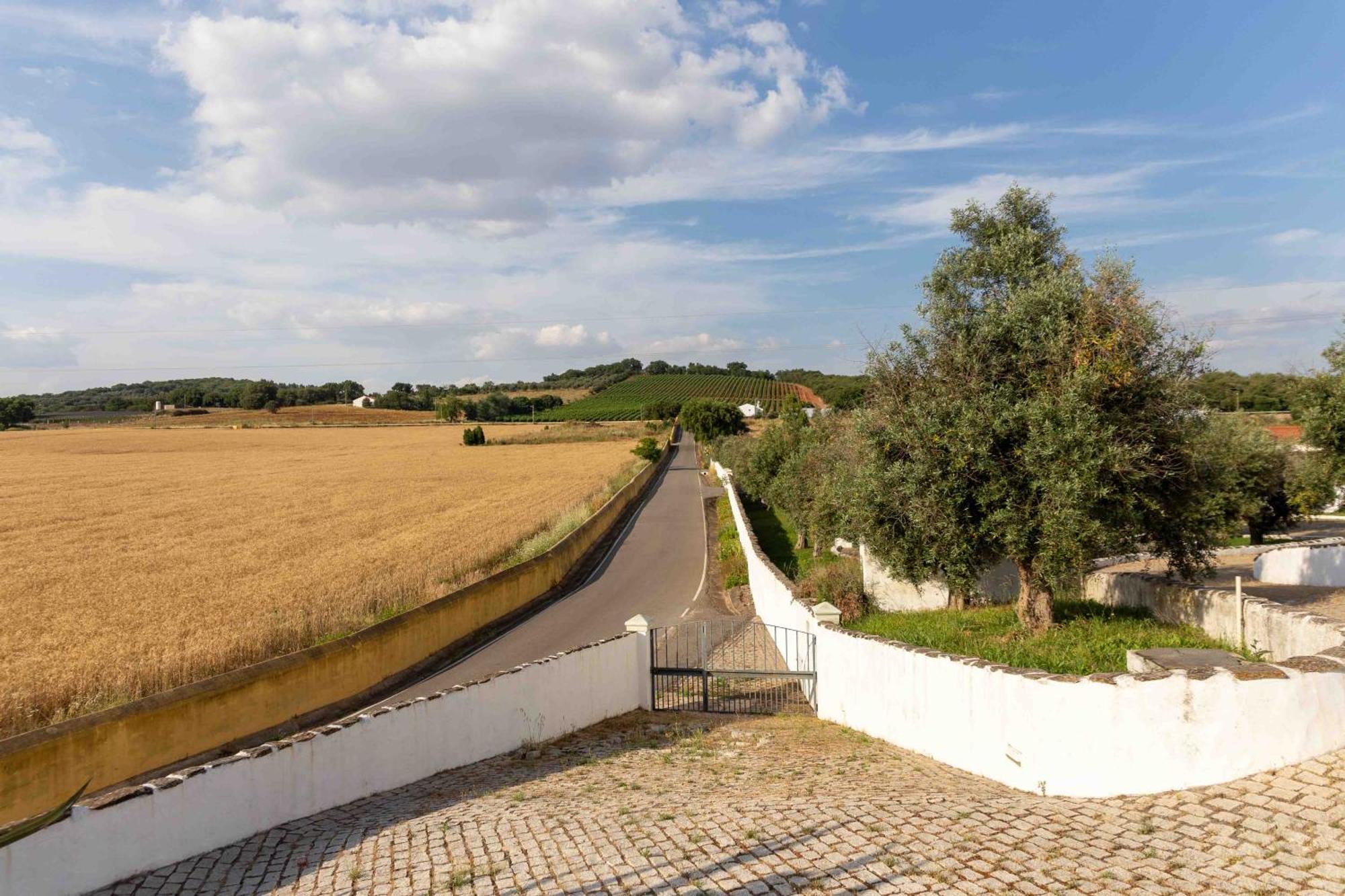 Monte Das Oliveiras - Casas De Campo Estremoz Extérieur photo