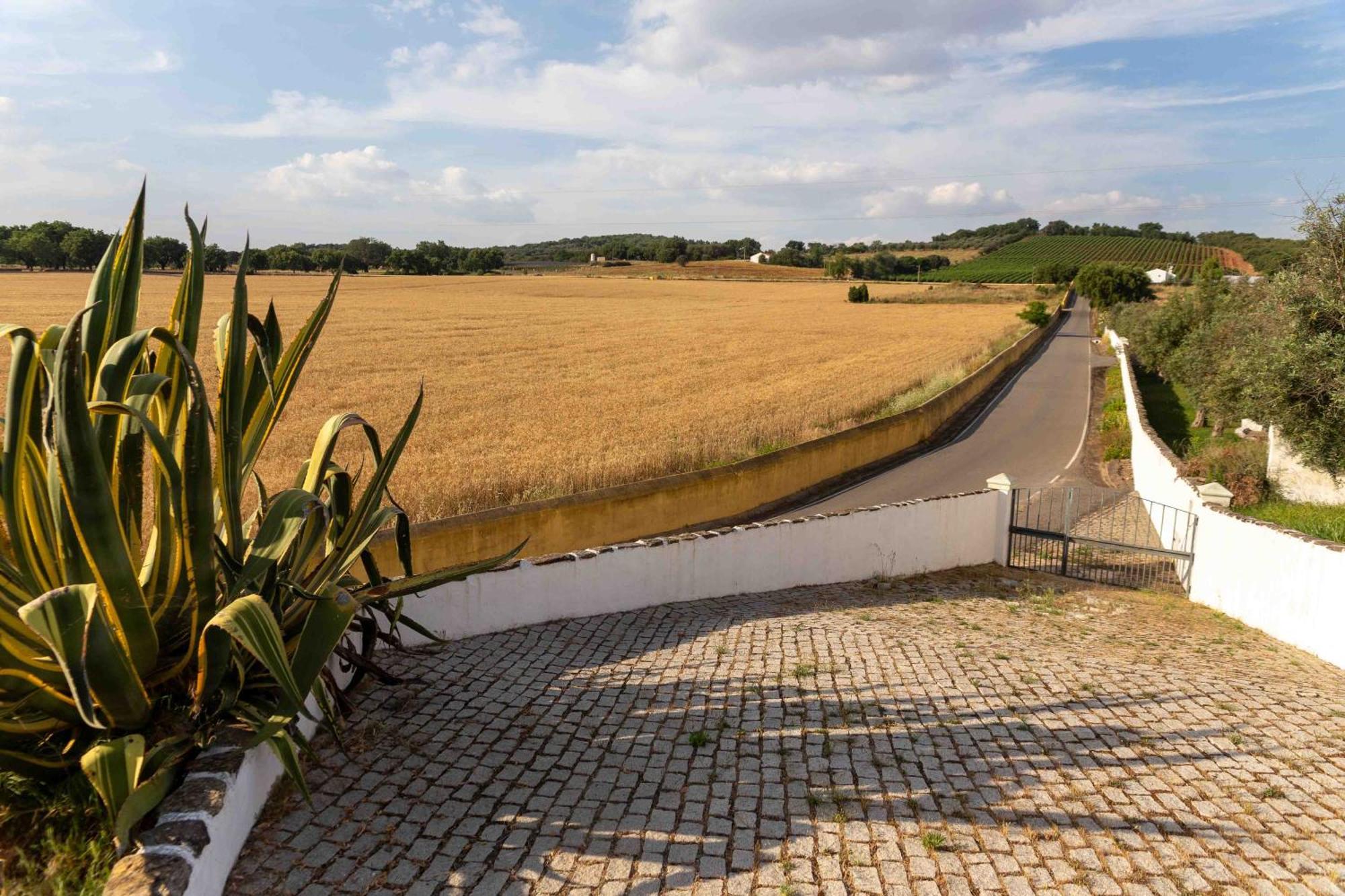 Monte Das Oliveiras - Casas De Campo Estremoz Extérieur photo