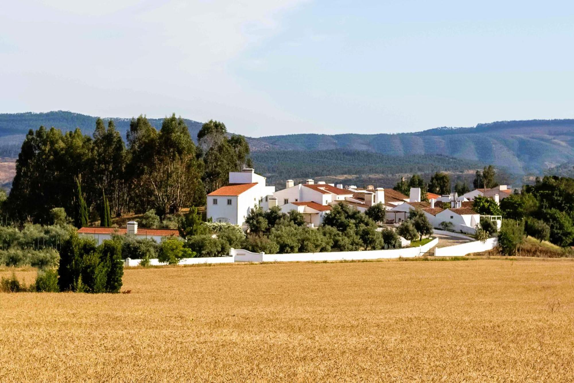 Monte Das Oliveiras - Casas De Campo Estremoz Extérieur photo